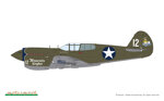 p40e-warhawk