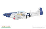 p51d-mustang
