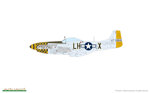 ace-of-the-eighth-p51d-mustang
