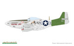 p51d-mustang