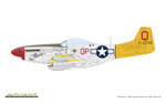 p51d-mustang
