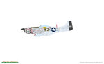 ace-of-the-eighth-p51d-mustang