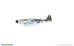 ace-of-the-eighth-p51d-mustang