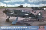 focke-wulf-fw190s8-german-late-canopy-type