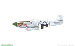 p51d5-mustang