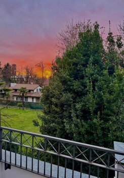 whatsapp image 2026-02-14 at 12.57.18.jpeg