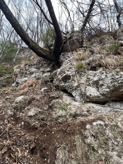 be1ca4182a2f738990df4c8425d2887d13d968cc.jpeg be1ca4182a2f738990df4c8425d2887d13d968cc.jpeg