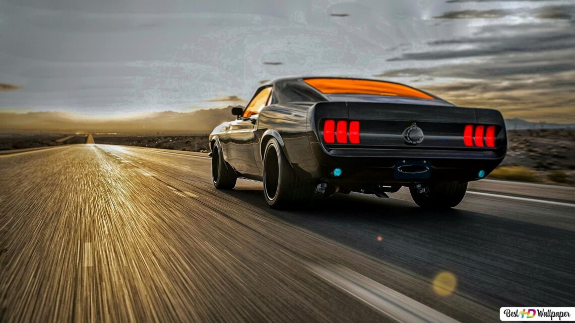 wp11013297.jpeg wp11013297.jpeg