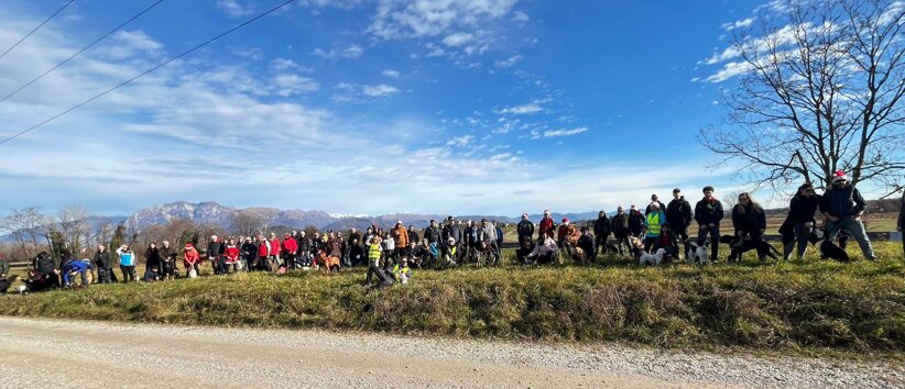 dog walking majano 2025.jpeg dog walking majano 2025.jpeg