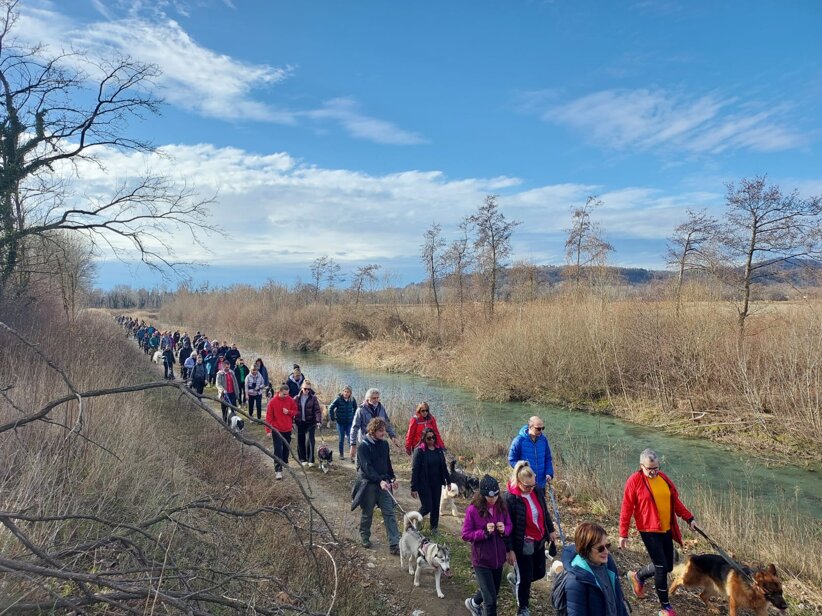 dog majano 2025.jpeg dog majano 2025.jpeg