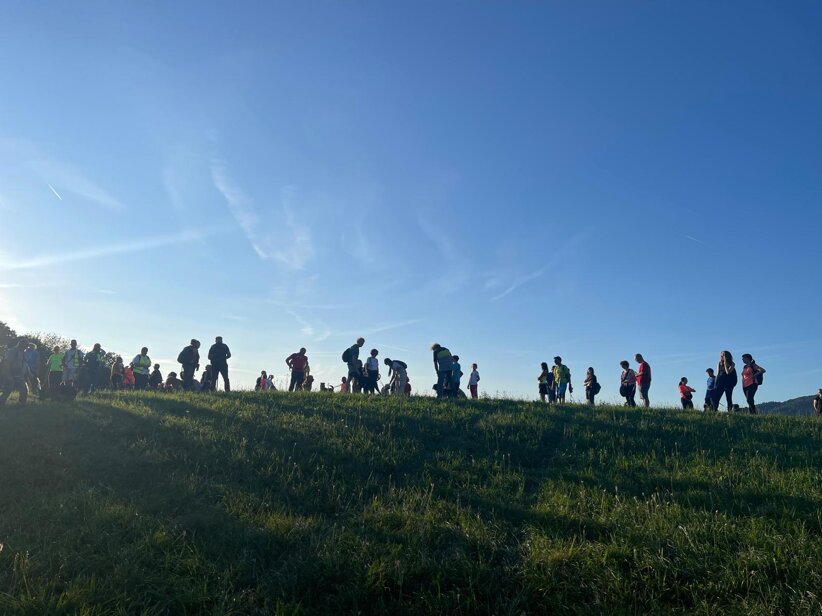 dog walking collerumiz.jpeg dog walking collerumiz.jpeg