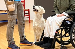 56629e7a-5faf-4784-9eb6-e54ab8e9fda5.jpeg 56629e7a-5faf-4784-9eb6-e54ab8e9fda5.jpeg