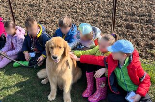 campolessi%202025.jpeg campolessi%202025.jpeg