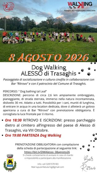 alesso_agosto_26.jpeg