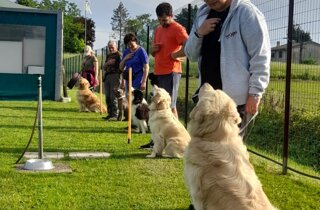 56629e7a-5faf-4784-9eb6-e54ab8e9fda5.jpeg 56629e7a-5faf-4784-9eb6-e54ab8e9fda5.jpeg