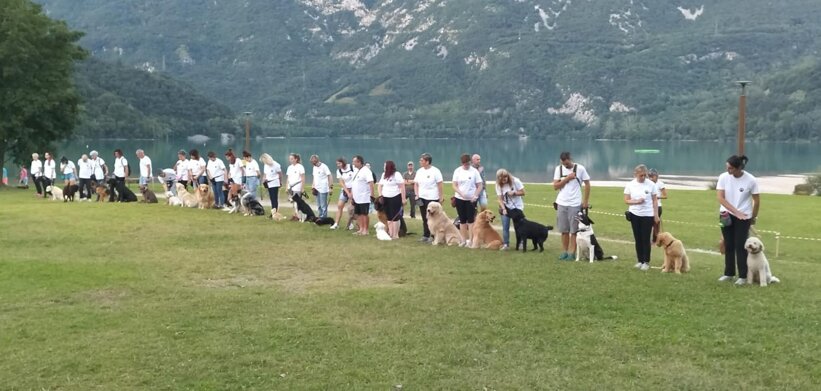 whatsapp image 2026-01-31 at 09.09.07.jpeg whatsapp image 2026-01-31 at 09.09.07.jpeg