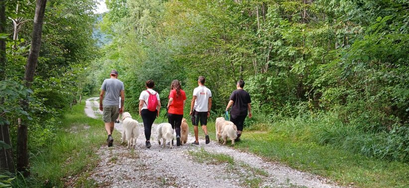 070e6ffc-ad9b-451f-bc5c-4331b39de61d.jpeg 070e6ffc-ad9b-451f-bc5c-4331b39de61d.jpeg