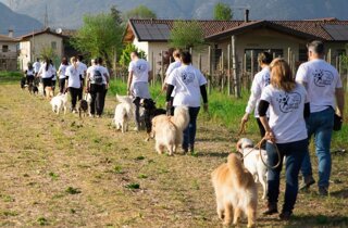 farla%20settembre%202025.jpeg farla%20settembre%202025.jpeg