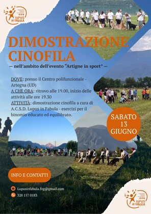 dimostrazione_cino_artegna.jpeg