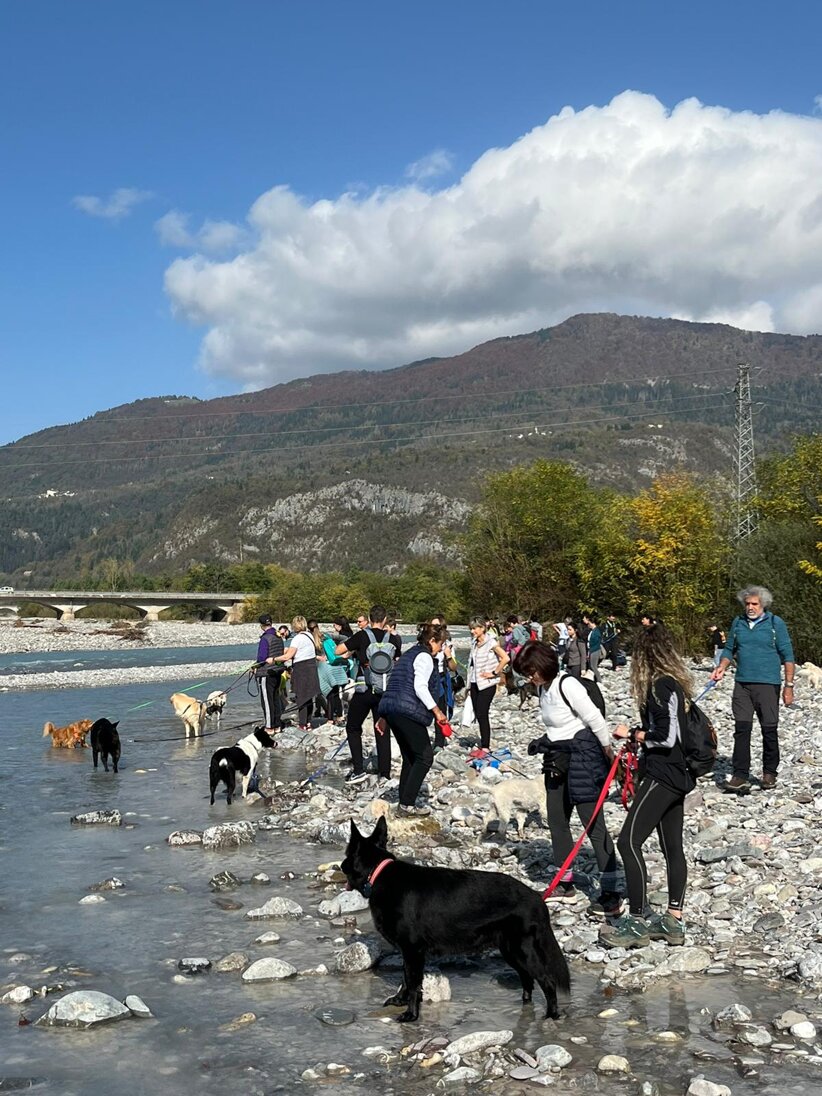 eb4ccb1a-2690-4b83-ad7b-9578ab450580.jpeg eb4ccb1a-2690-4b83-ad7b-9578ab450580.jpeg