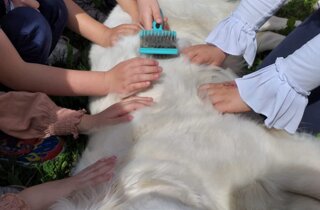 img_0415.jpeg img_0415.jpeg