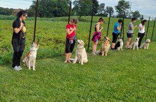 dimostrazione%20cinofila%20lago%20di%20cavazzo.jpeg dimostrazione%20cinofila%20lago%20di%20cavazzo.jpeg