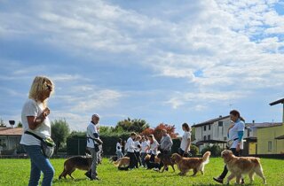 12634dc4-8932-460e-8adf-d19025577fe1.jpeg 12634dc4-8932-460e-8adf-d19025577fe1.jpeg