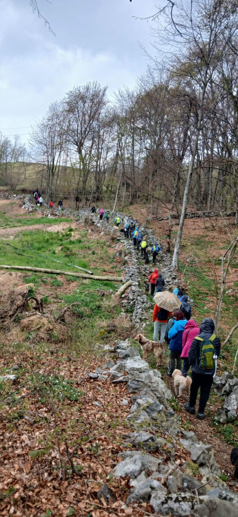 dog walking mont di prat 2025.jpeg dog walking mont di prat 2025.jpeg