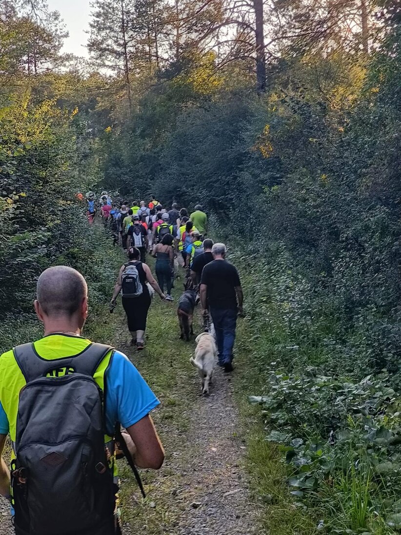 dog walking alesso.jpeg dog walking alesso.jpeg