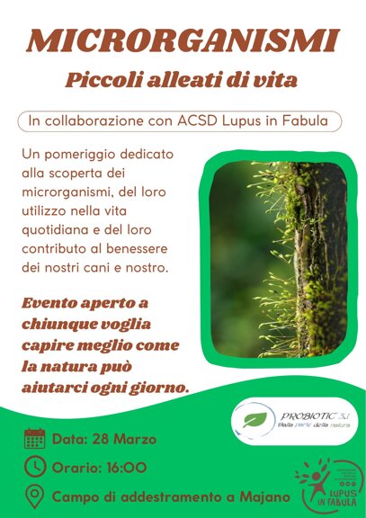 microrganismi.jpeg