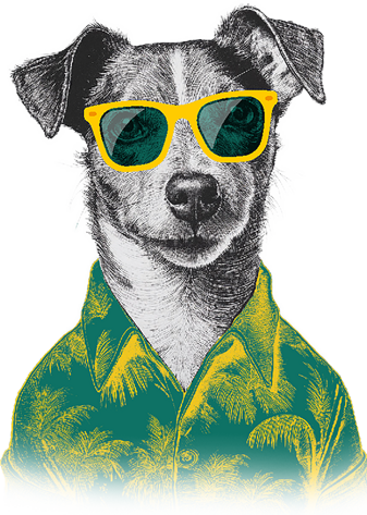 chiacchierone_mascotte
