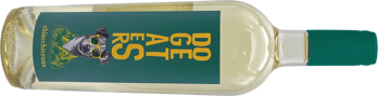 chiacchierone2