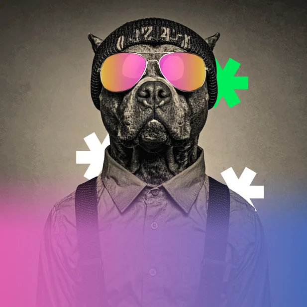 spotify_playlist copia