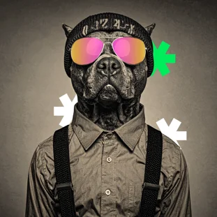 spotify_playlist copia spotify_playlist copia