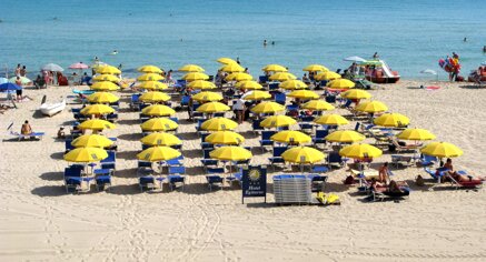 c47ae50a-c767-4eda-a099-3c4b6e39fe04.jpeg c47ae50a-c767-4eda-a099-3c4b6e39fe04.jpeg