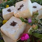 cardofiore-prezzo-al-kg