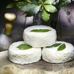 capracanta-cremoso-saporito-da-meditazione-prezzo-cadauno