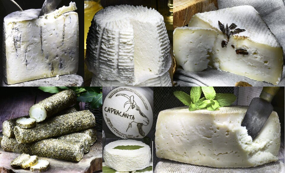 36a7d674-88c5-4368-9fb6-cf61eceba3b2 36a7d674-88c5-4368-9fb6-cf61eceba3b2