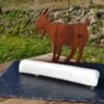 tronchetto-fresco-prezzo-al-kg