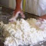 tronchetto-fresco-prezzo-al-kg