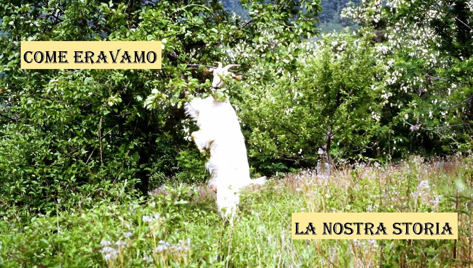 708a4572-4dbf-46fb-ba7f-49e23b1ae5d3