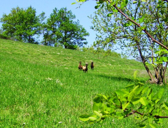 412c2e6f1e3d454c9f6e3ddd7197b585