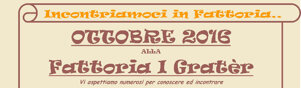 ef16bfd281d64e6f8d2012e03b8ab07f