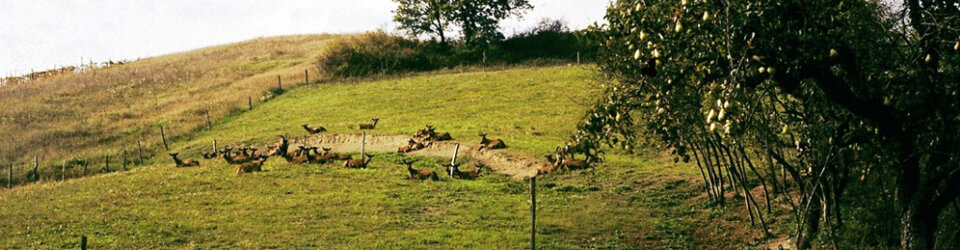 9291dd69405e47b98356024fdacea977