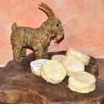 tomino-stagionato-prezzo-cadauno