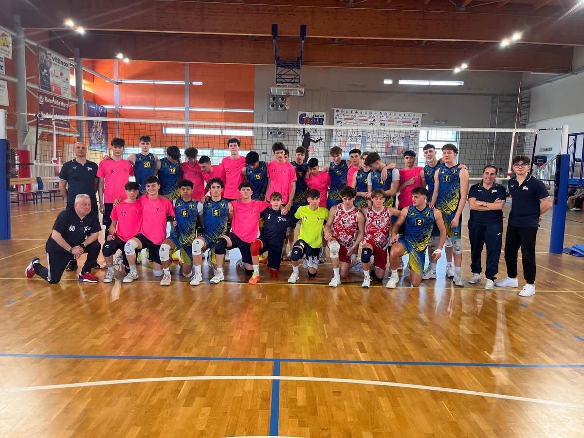 cornacchia-01.jpeg cornacchia-01.jpeg