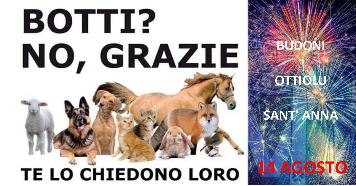 BUDONI TRIPLICA I BOTTI DI FERRAGOSTO: PAURA PER GLI ANIMALI. BUDONI TRIPLICA I BOTTI DI FERRAGOSTO: PAURA PER GLI ANIMALI.