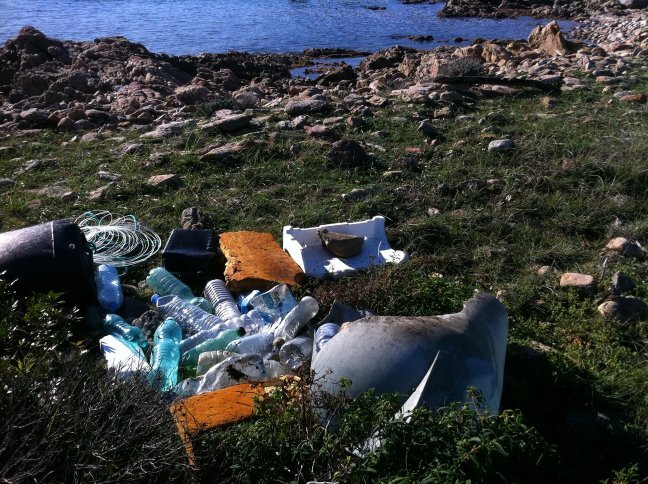 BUDONI & SAN TEODORO: LOTTA AI RIFIUTI IN MARE BUDONI & SAN TEODORO: LOTTA AI RIFIUTI IN MARE