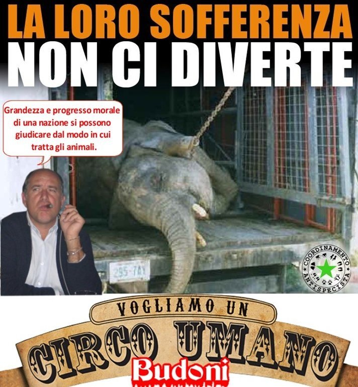BUDONI: NO AL CIRCO CON GLI ANIMALI.