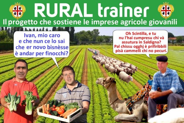 rural.jpg